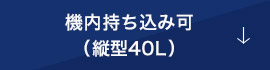 機内持ち込み可（縦型40L）