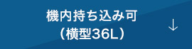 機内持ち込み可（横型36L）