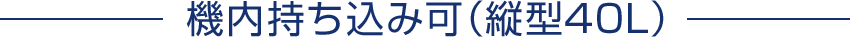 機内持ち込み可（縦型40L）