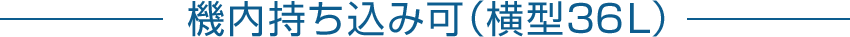 機内持ち込み可（横型36L）
