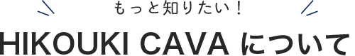 もっと知りたい！ HIKOUKI CAVA について