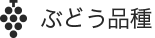 ぶどう品種