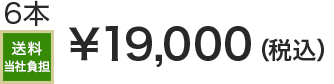 6本 送料当社負担 &yen;19,000(税込)