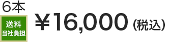 6本 送料当社負担 &yen;16,000(税込)
