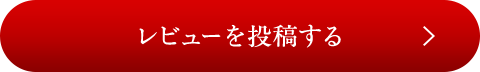 レビューを投稿する