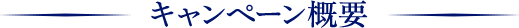キャンペーン概要