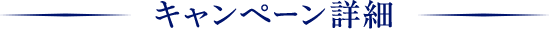 キャンペーン詳細
