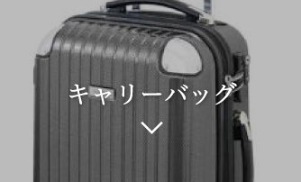 キャリーバッグ
