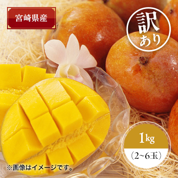 送料込】【お買い得！！】＜宮崎県産＞訳ありマンゴー1kg【受注