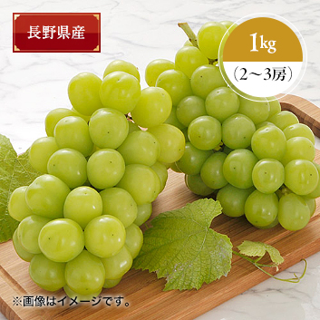 長野県産 関野農園シャインマスカット1kg 2 3房 Anaショッピング A Style 長野県産 関野農園シャインマスカット1kg 2 3房 Anaショッピング A Style