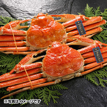 北海道加工◆ズワイガニダルマ2kg◆激安　ボイル ロシア産 北海道加工ボイルずわいがに 2杯 1.6kg | ANAショッピング A