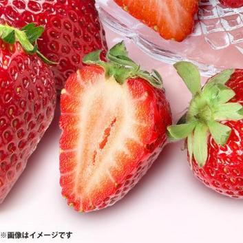 栃木県産＞とちあいか苺360g（12～15粒）【受注締め切り日：2026/2/20