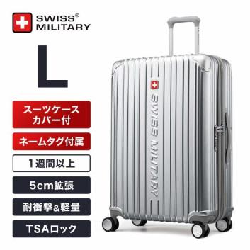 スイスアーミー放出品 アンティークゴーグルアルミケース付