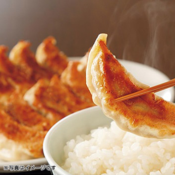 ぎょうさ 大阪王将 鉄板中華セット｜炒めチャーハン10食＋羽根つき餃子72