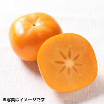 柿農家の孫 sa_atagohosi_1.jpg