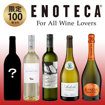 �y2026���܁z�y�������Е��S�z�u���S�[�j����������������!�����C������5�{�Z�b�g�y�󒍒��ߐ؂�F2026/1/13�z