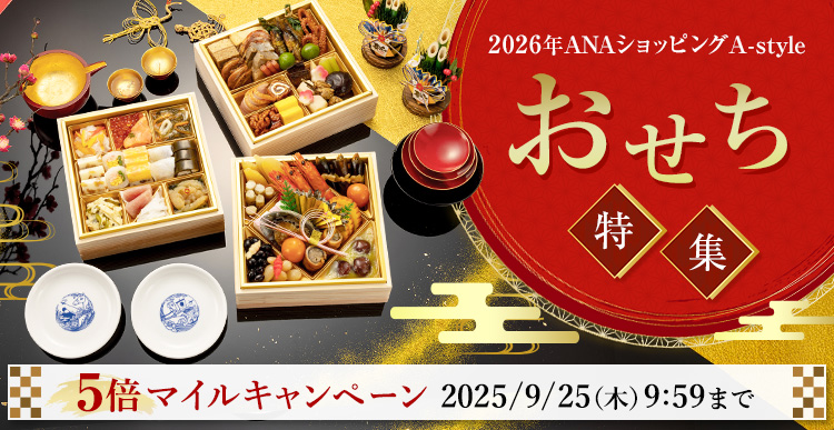 非売品 ボーイング727 旧ロゴ 全日空 記念メダル スーツケースベルト ほか 非売品 ボーイング727 旧ロゴ 全日空 記念メダル スーツケース