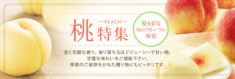 新鮮な桃 中サイズ 多数入 桃通販 – търсене / X