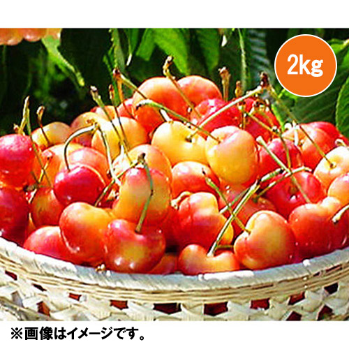 ＜ワシントン州産＞大粒アメリカンチェリー（レーニア種）2kg【受注締め切り日：2026/5/31】
