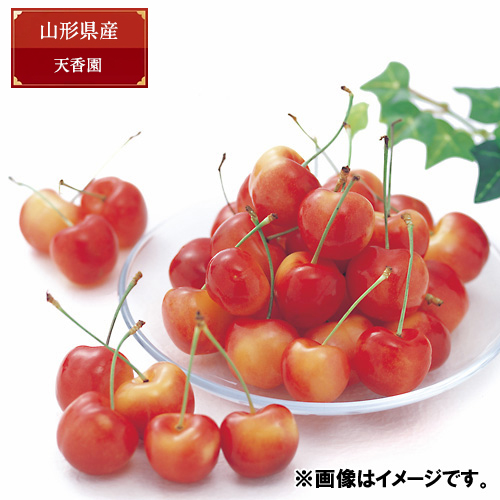 ＜山形県産＞元祖天香園佐藤錦（バラ詰）500g 天香園黒箱【受注締め切り日：2026/6/23】