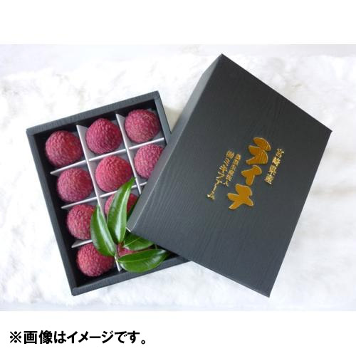 ＜ミキファーム＞宮崎県産生ライチ　12粒【受注締め切り日：2026/7/10】