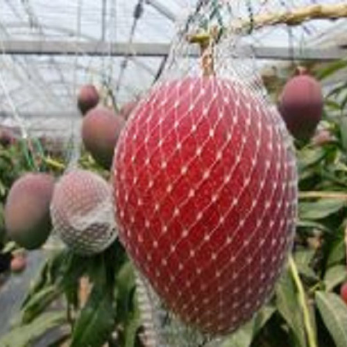 【送料込】＜食匠倶楽部＞MIYAZAKI 宮崎マンゴー熟光の華（2L×2玉）【受注締め切り日：2026/7/21】