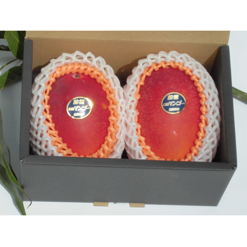 【送料込】＜食匠倶楽部＞MIYAZAKI 宮崎マンゴー熟光の華（2L×2玉）【受注締め切り日：2026/7/21】