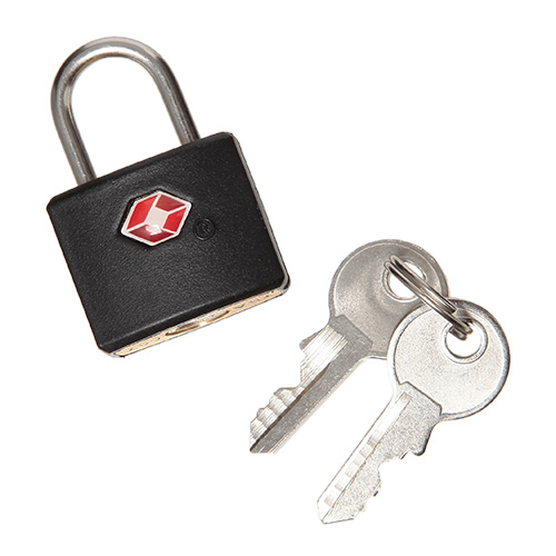 ANAオリジナルキャリーバッグ（ＡＮＡオリジナルネームタグ付）