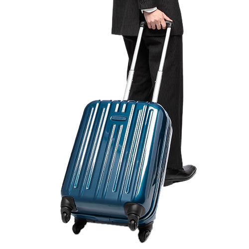 ANAオリジナルキャリーバッグ（ＡＮＡオリジナルネームタグ付）