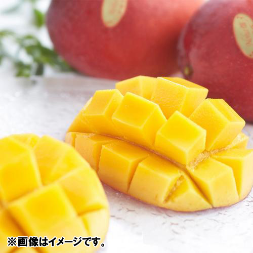 沖縄県Noha畑 「林檎マンゴー」特秀品1kg(2玉)(桐箱入)【受注締め切り日：2026/7/18】