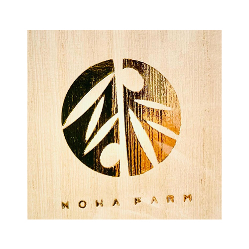 沖縄県Noha畑 「林檎マンゴー」特秀品1kg(2玉)(桐箱入)【受注締め切り日：2026/7/18】