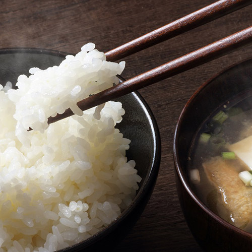 越後雪室屋氷温熟成®新潟こしひかりパックごはん 180g×36パック