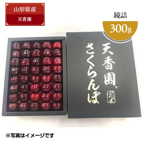 幻のさくらんぼ＜山形県産＞天香園 ブラックダイヤ®黒箱本詰 300g【受注締め切り日：2026/6/30】
