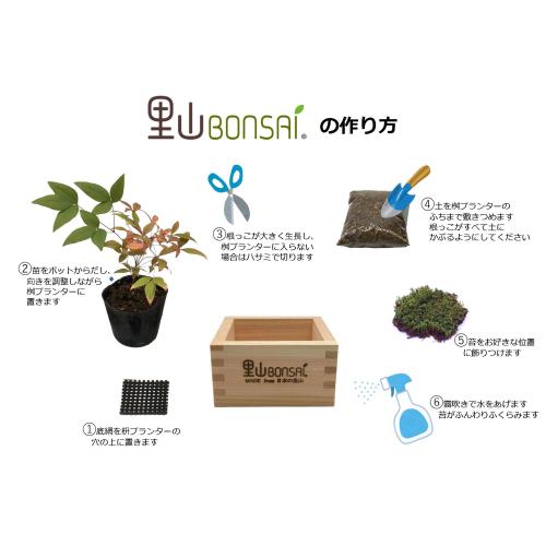 里山BONSAIキット 2セット