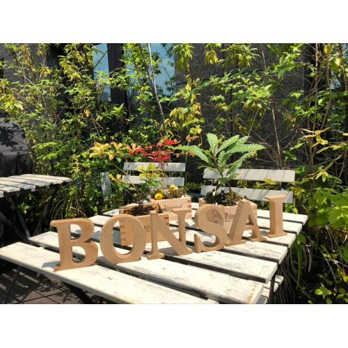 里山BONSAIキット 2セット