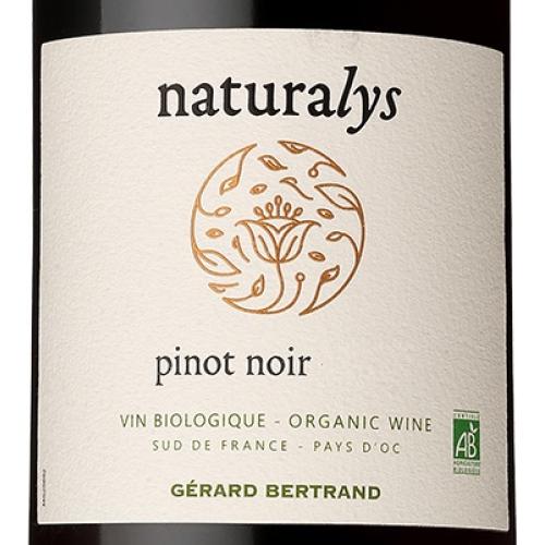 果実味豊かな南仏のビオロジックワイン赤白2本セット