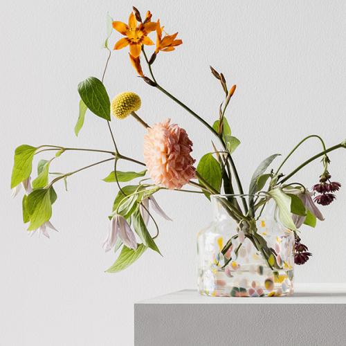 ＜コスタ ボダ＞Meadowベース　カラーS