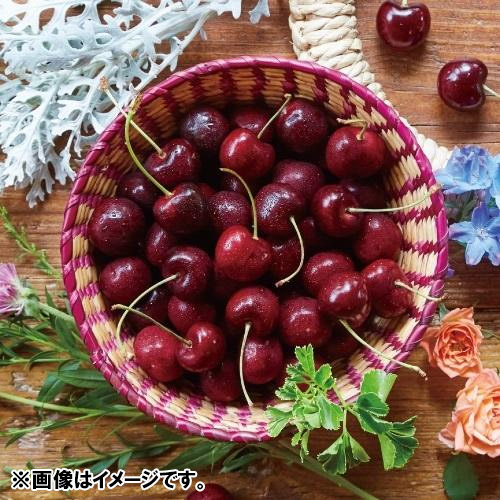 アメリカンチェリー（ダーク種）1kg【受注締め切り日：2026/7/2】