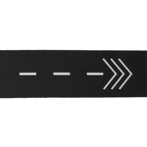 【ANAオリジナル】ANAロゴマーク入りキャリーケースベルト 2本セット