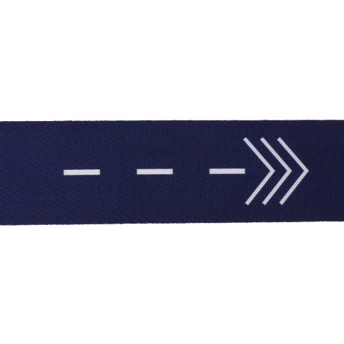 【ANAオリジナル】ANAロゴマーク入りキャリーケースベルト 2本セット