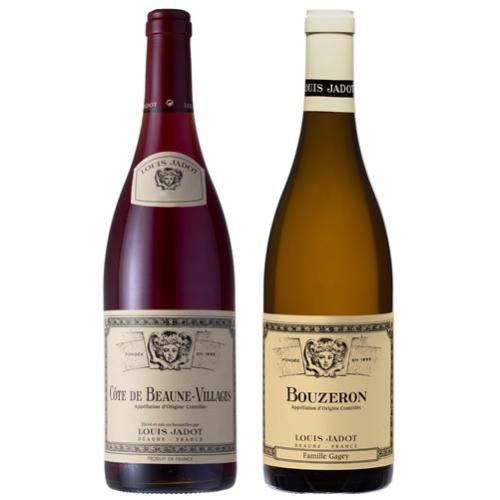 ＜ルイ・ジャド＞名門ワイナリーの、若々しくフルーティ―な赤＆さわやかで豊かな白ワイン 2本セット