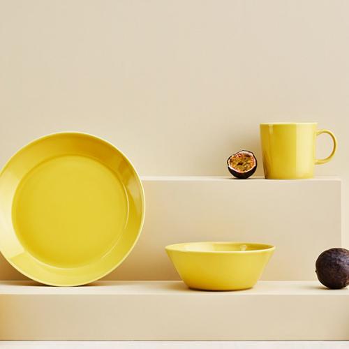 ＜イッタラ＞ティーマ マグ・21cmプレートペア