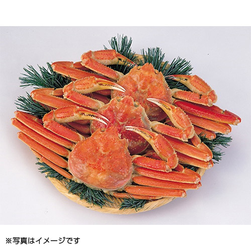 カナダ産ズワイガニ　1.5kg
