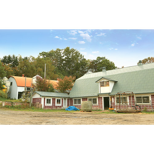 知床牛3種詰合せ