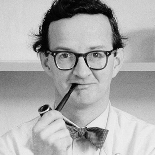 ＜オプトデザイン＞スティグリンドベリ木製コースター4枚セット