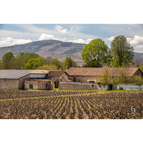 ＜メゾン・ジャン・ロロン＞ ボジョレ・ヴィラージュ・ヌーヴォー リフト69 2本セット