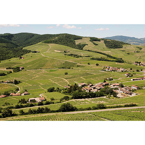 ＜メゾン・ジャン・ロロン＞ ボジョレ・ヴィラージュ・ヌーヴォー リフト69 2本セット