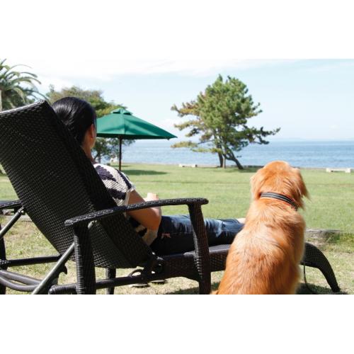 ＜SOW EXPERIENCE＞体験コースチケット ドッグリゾート