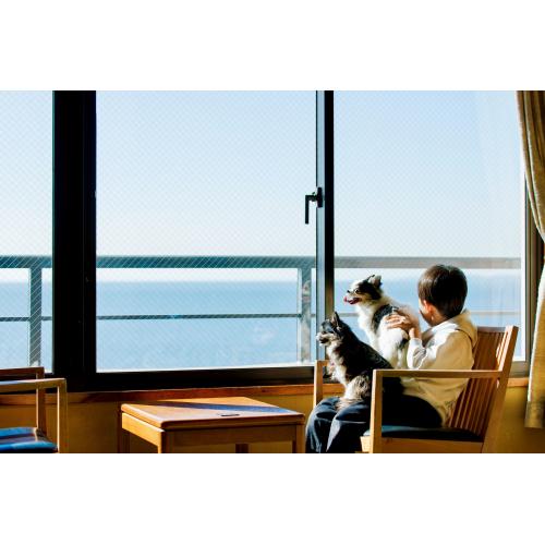 ＜SOW EXPERIENCE＞体験コースチケット ドッグリゾート