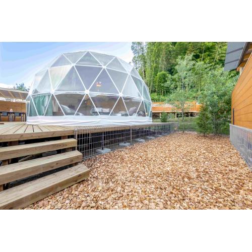 ＜SOW EXPERIENCE＞体験コースチケット ドッグリゾート